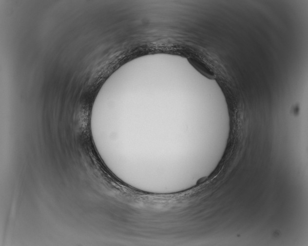 X0000115670033200912031406