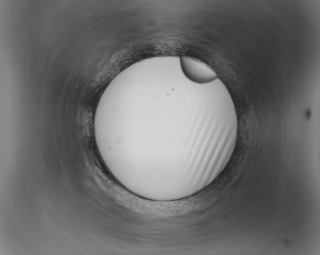 X0000115670038200912031406