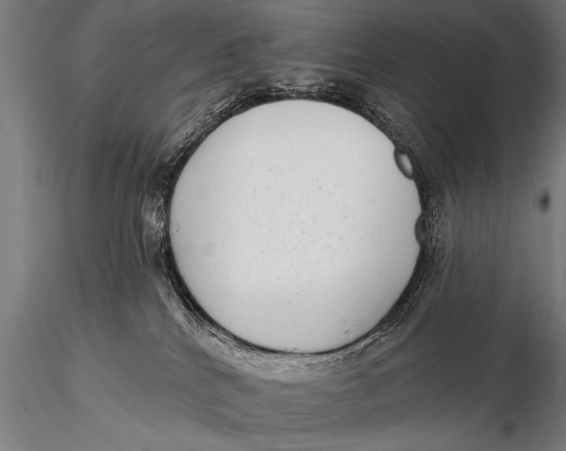 X0000115670040200912031406