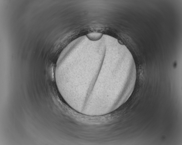 X0000115670042200912031406