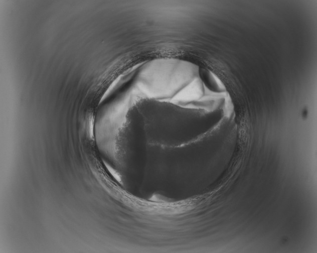 X0000115670046200912031406