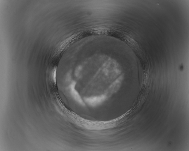 X0000115670047200912031406