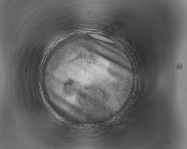 X0000115670049200912031405