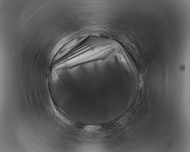 X0000115670051200912031406