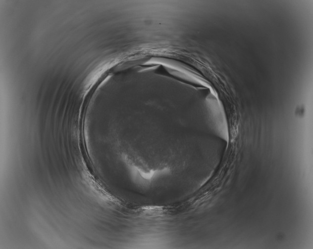 X0000115670052200912031406