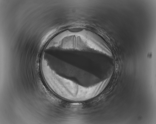 X0000115670053200912031406