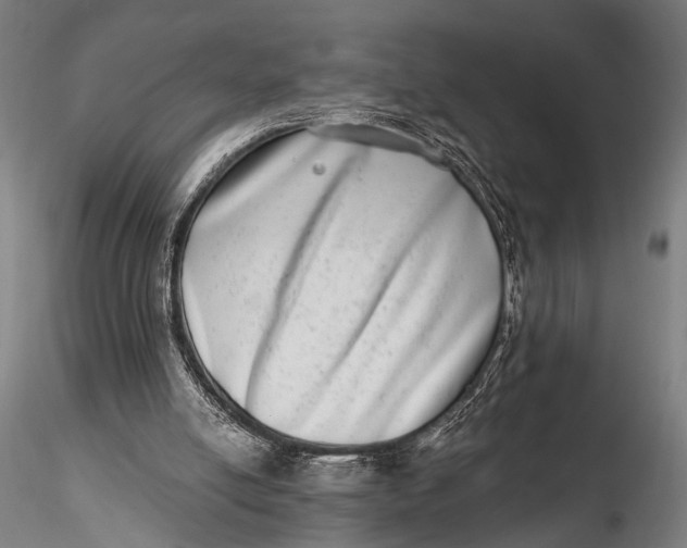 X0000115670054200912031406