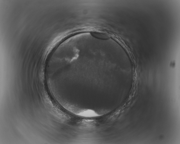 X0000115670055200912031406