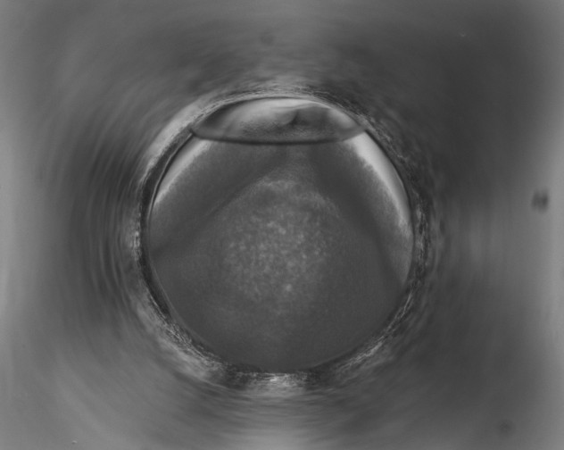 X0000115670056200912031406