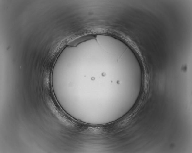 X0000115670057200912031406