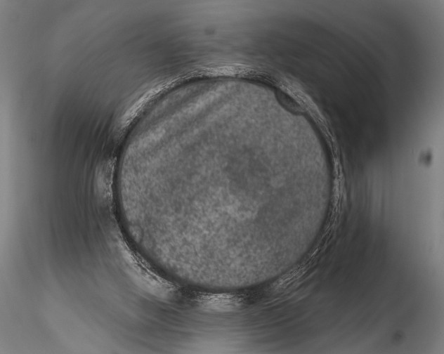 X0000115670058200912031406