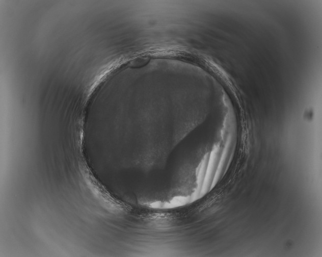 X0000115670059200912031406