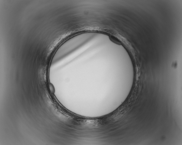 X0000115670060200912031406