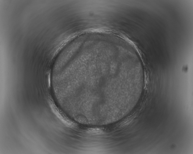 X0000115670061200912031406