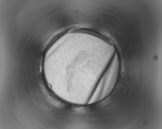 X0000115670062200912031406