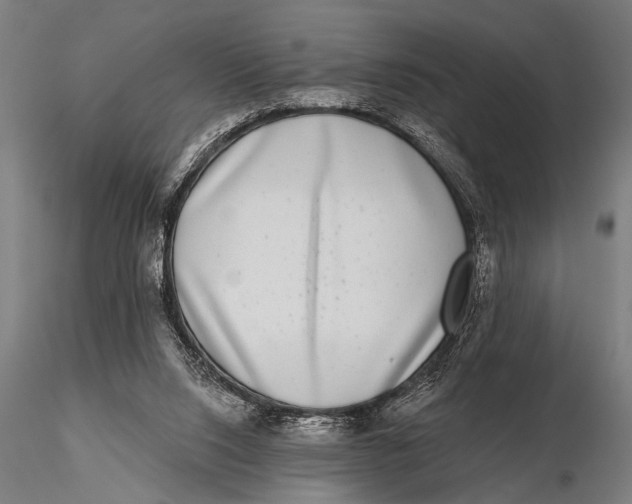 X0000115670064200912031406