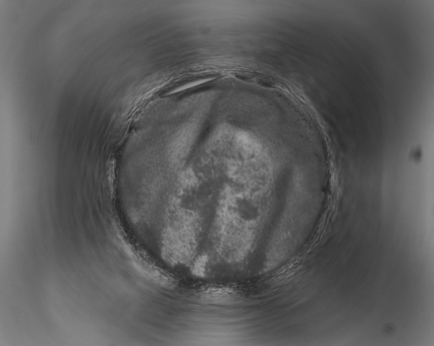 X0000115670066200912031406