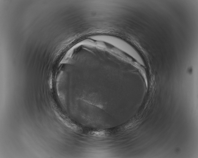 X0000115670068200912031406