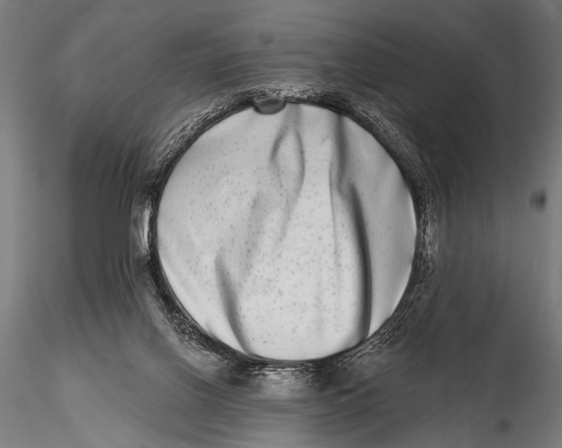 X0000115670070200912031406