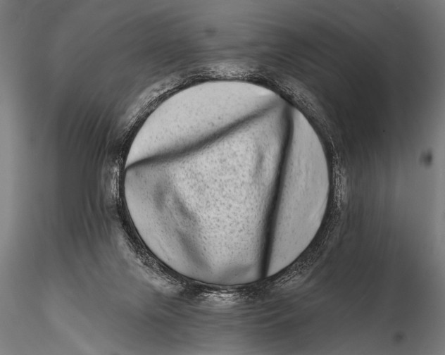 X0000115670071200912031406