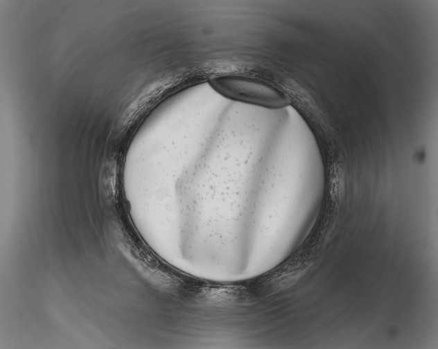 X0000115670072200912031406