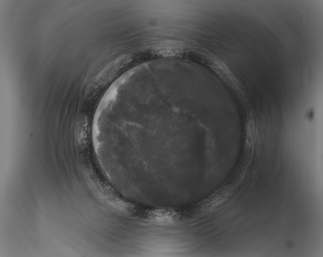 X0000115670073200912031406