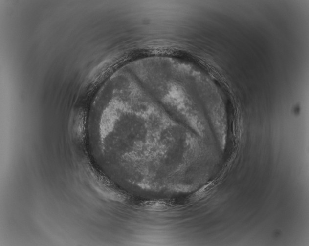 X0000115670074200912031406