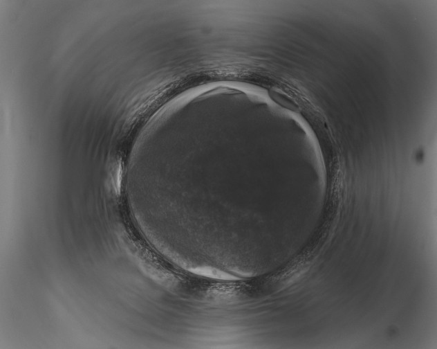 X0000115670076200912031406