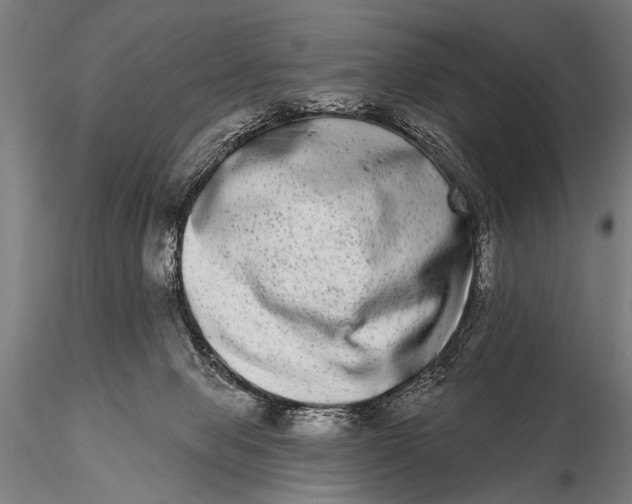 X0000115670077200912031406