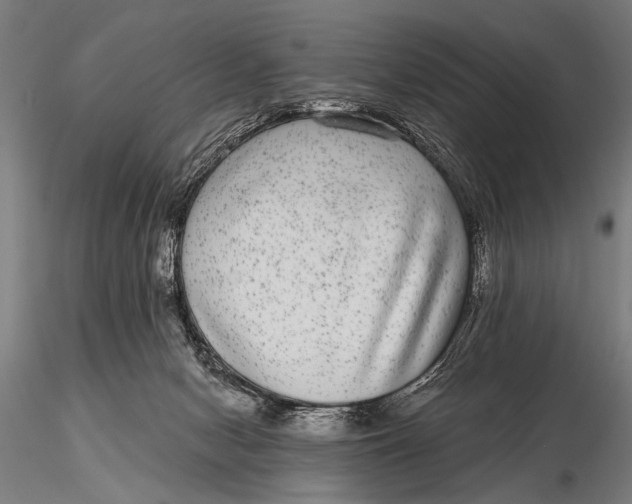 X0000115670078200912031406