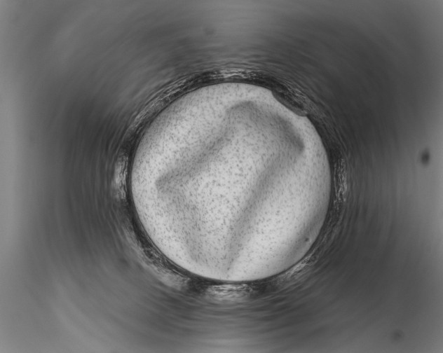 X0000115670082200912031406