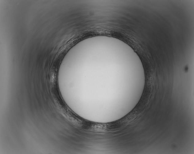 X0000115670084200912031406