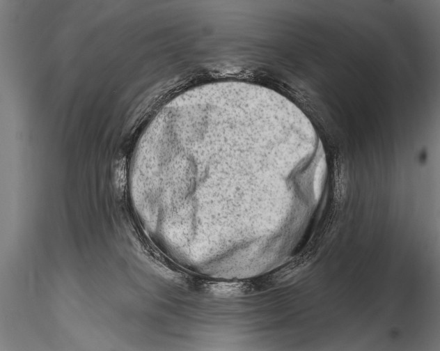 X0000115670085200912031406