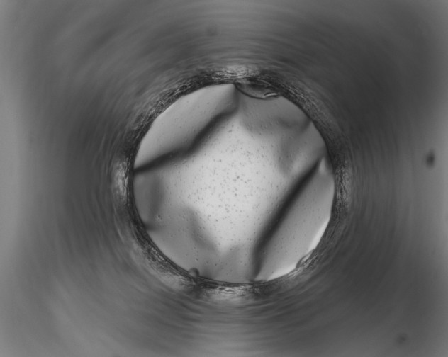 X0000115670086200912031406