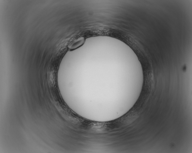 X0000115670088200912031406