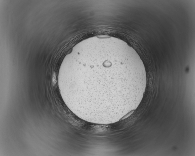 X0000115670089200912031406