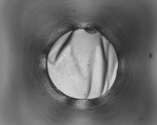 X0000115670090200912031406