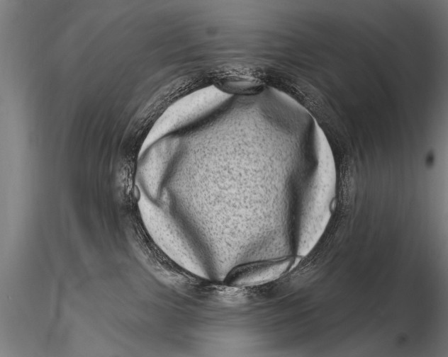 X0000115670091200912031406