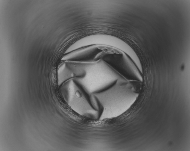 X0000115670092200912031406