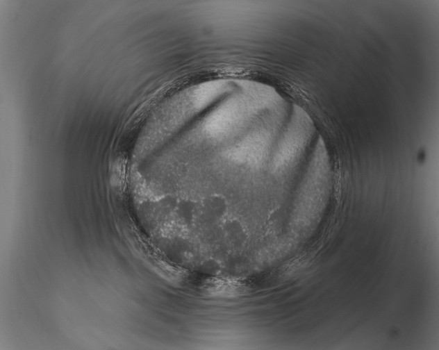 X0000115670093200912031406