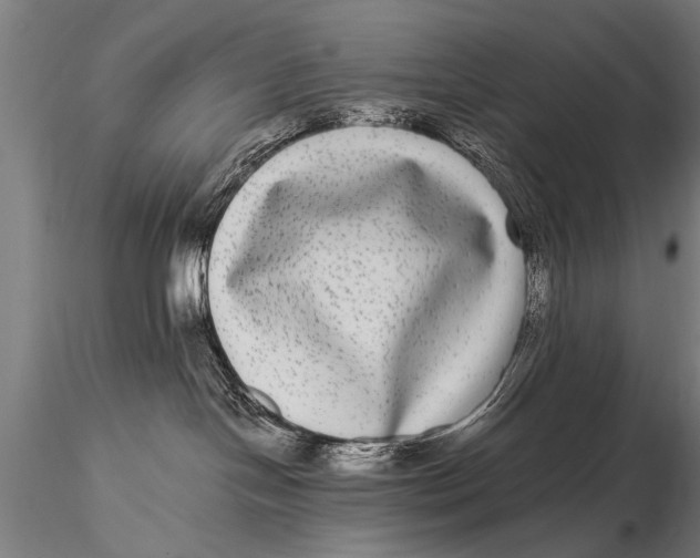 X0000115670094200912031406