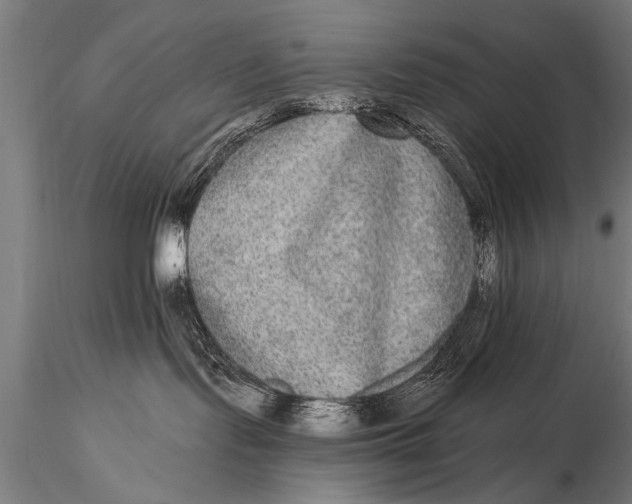 X0000115670095200912031406