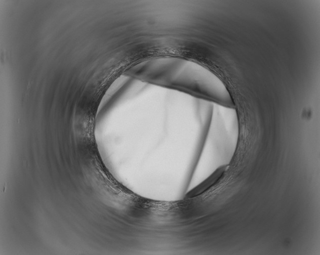 X0000115670096200912031406