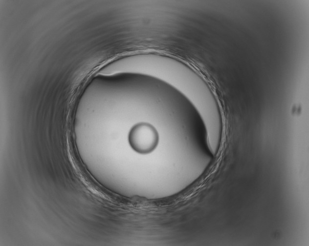 X0000115670097200912031405