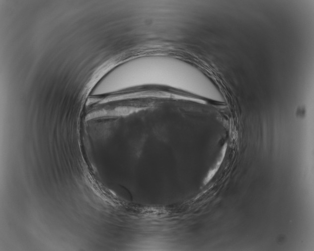 X0000115670099200912031405