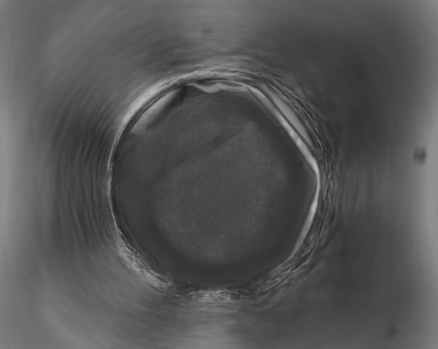 X0000115670100200912031405