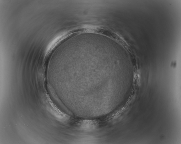 X0000115670101200912031405