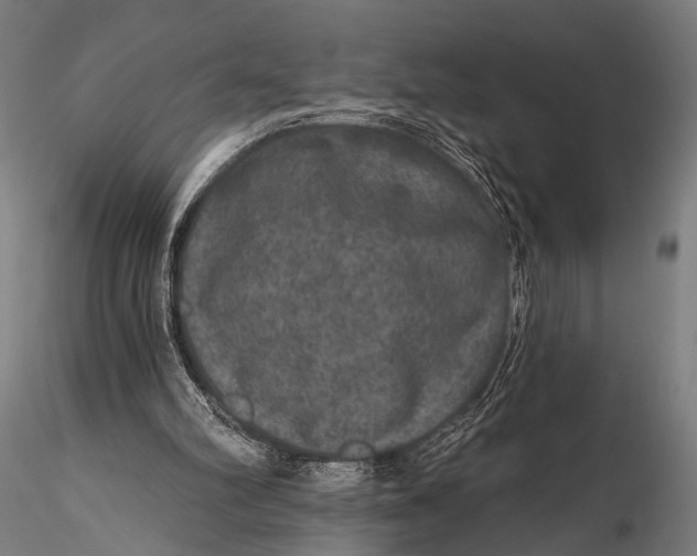 X0000115670102200912031405