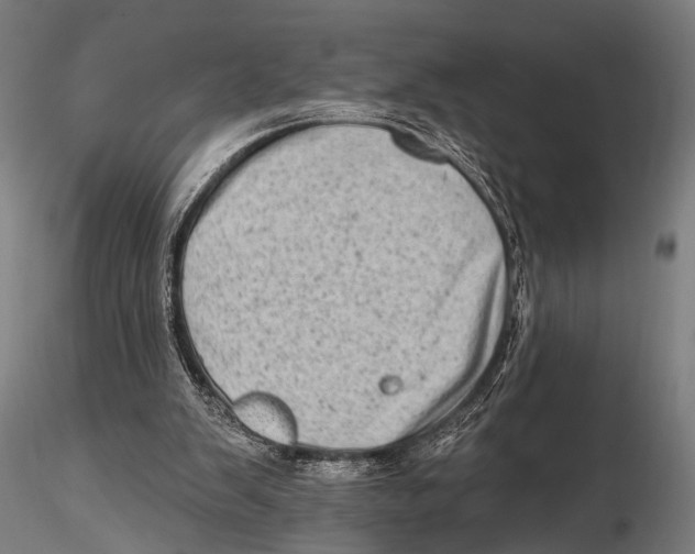 X0000115670103200912031405