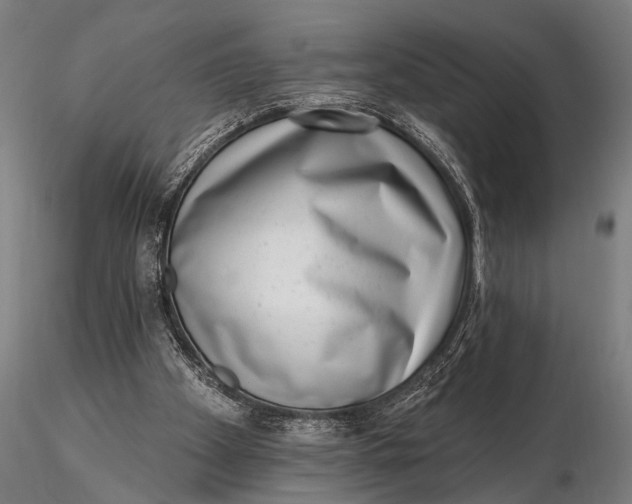 X0000115670105200912031405